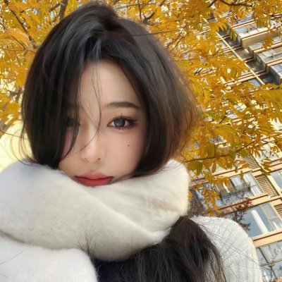 29片棕榈叶