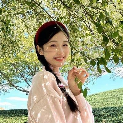 野良猫洛克:女番长
