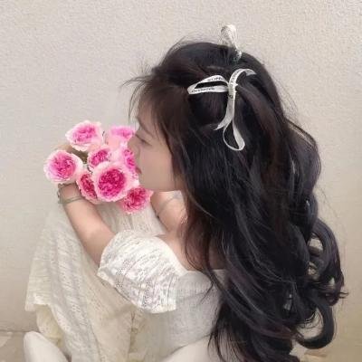 陆昭昭的刺客笔记